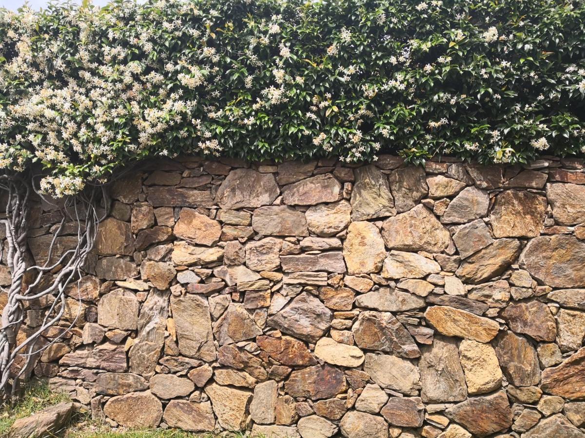 Bed and Breakfast A Lu Ponti Budoni Exterior foto